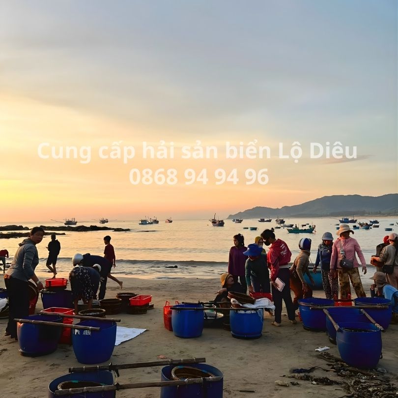 cung cap hai san bien lo dieu